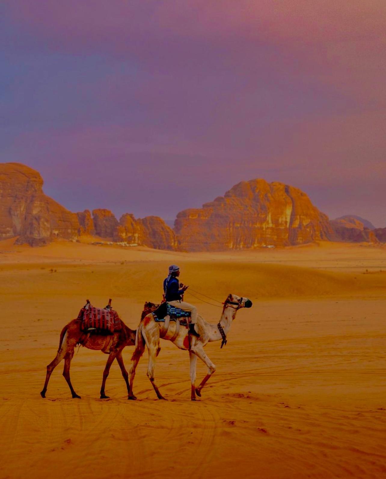 Wadi Rum Meteorite Camp Extérieur photo